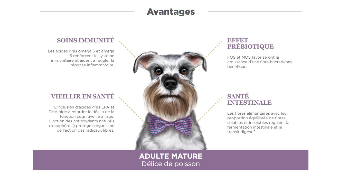 AMANOVA Mature Brokken met 60% verse vis voor Senior Hond