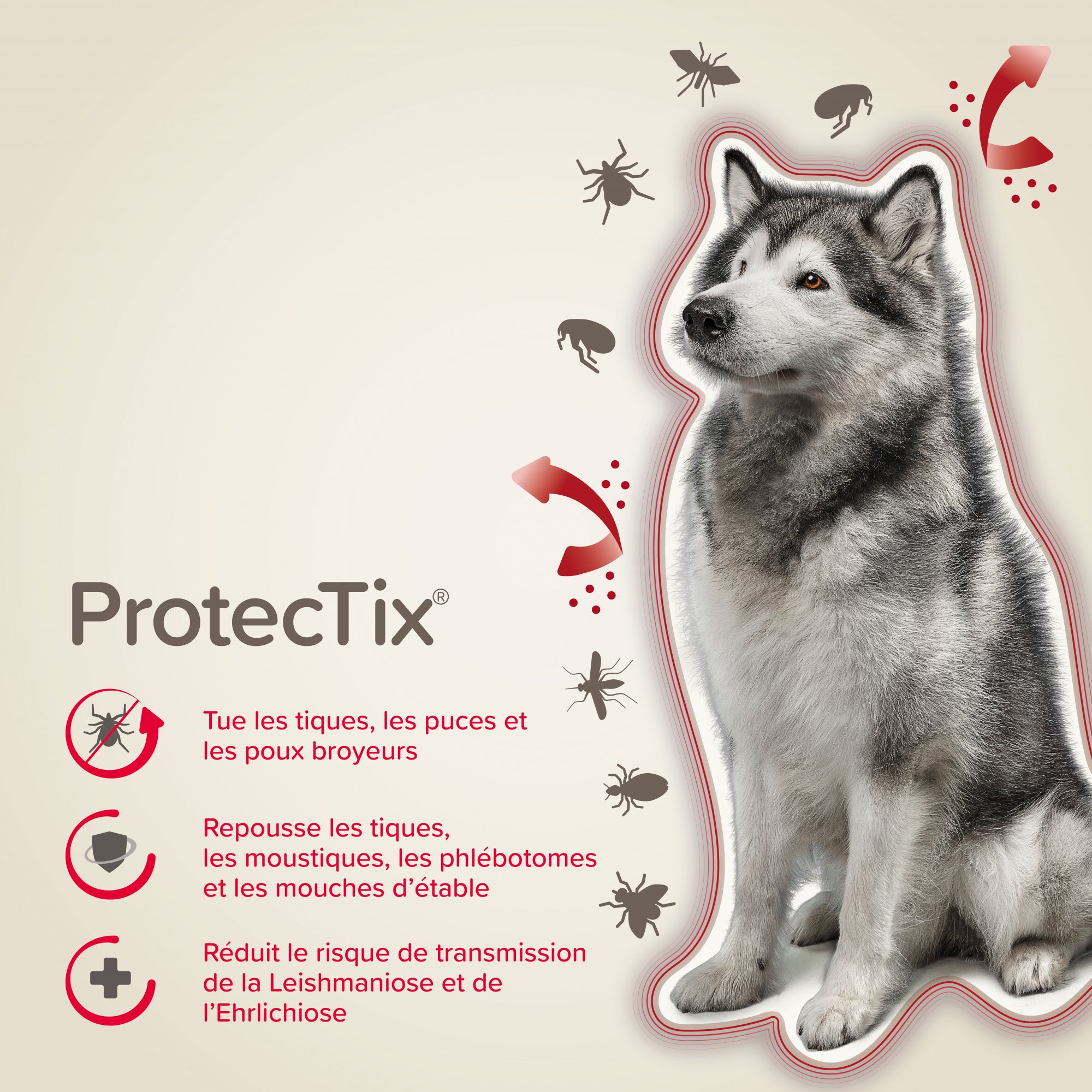 ProtecTix Spot-on Pipette Antiparasitenmittel für Hunde von 25 bis 40 kg