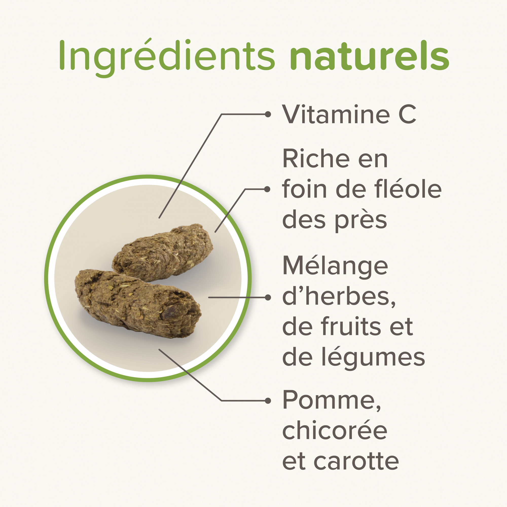 Care+ Nature Aliment Premium sans céréales pour Cochon d'Inde