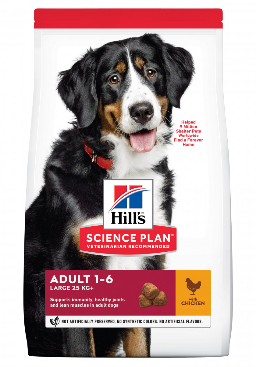 HILL'S Science Plan Canine Adult Large Breed, met kip