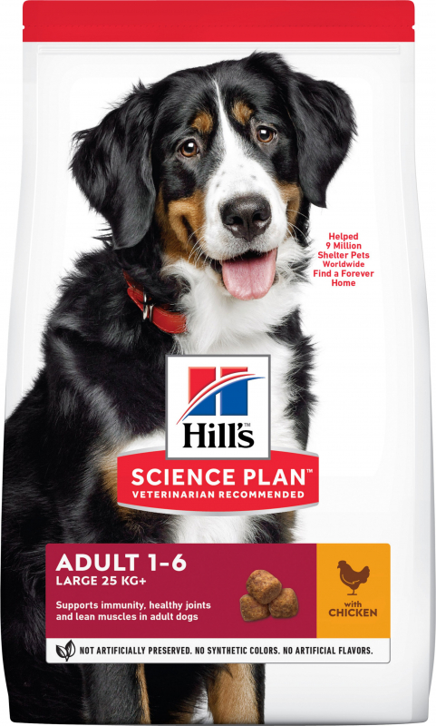 HILL'S Science Plan Canine Adult Large Breed pour chien adulte de grande taille au poulet