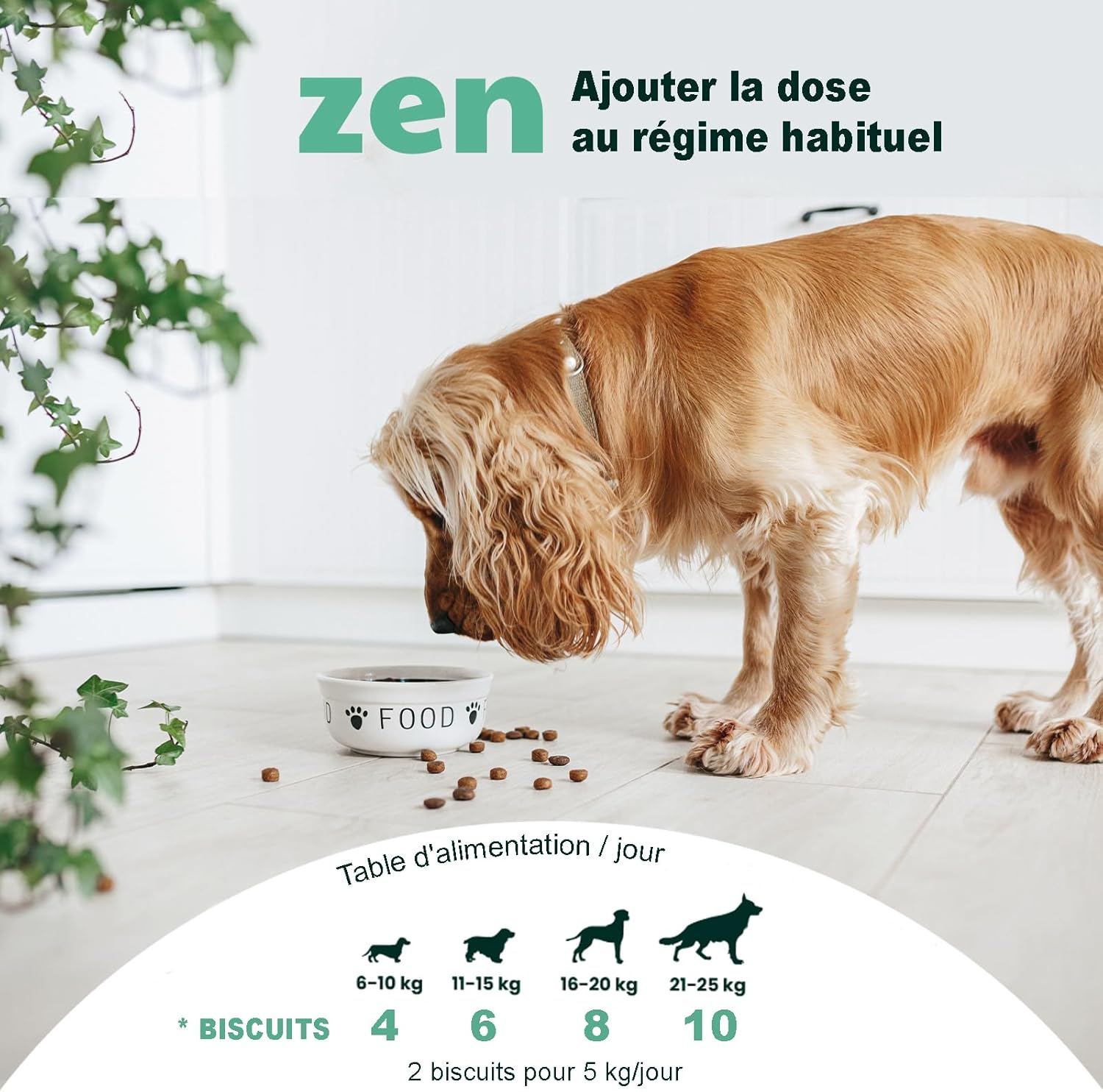 MOOIZA Zen relax pour chien