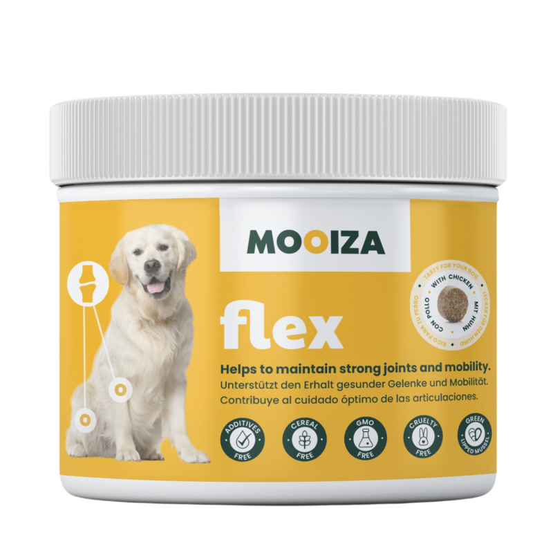 MOOIZA Flex pour chien