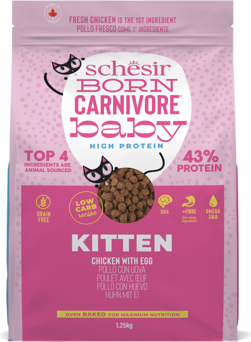 SCHESIR Born Carnivore croquettes poulet œufs pour chaton