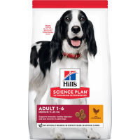 HILL'S Science Plan Canine Adult Medium Pollo pienso para perros de razas medianas