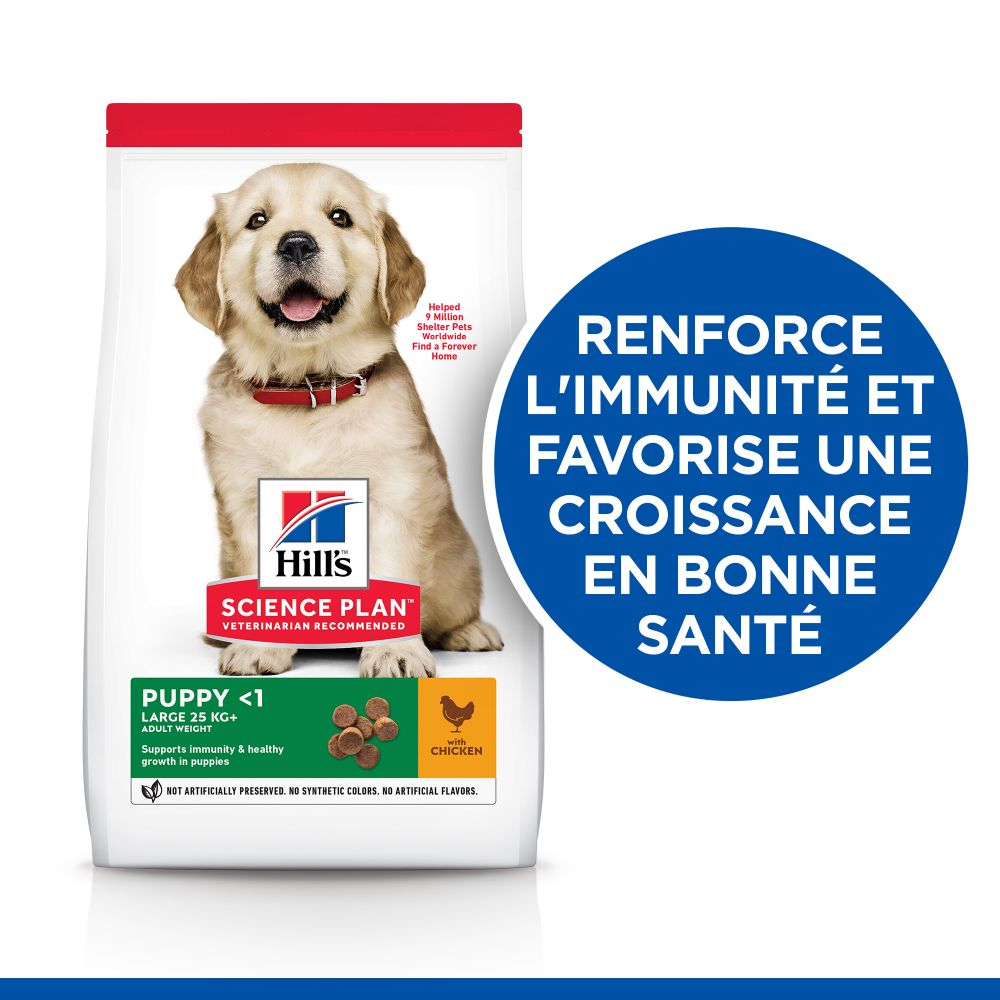 HILL'S Science Plan Puppy Large Breed para cachorros
