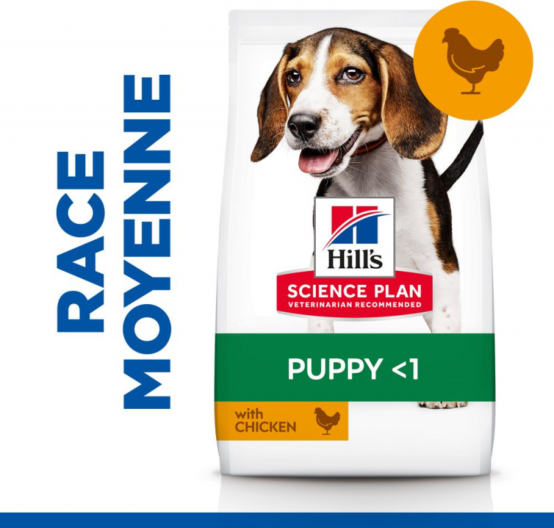 HILL'S Science Plan Puppy Healthy Development con Pollo per cuccioli di taglia media