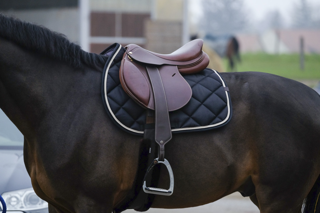 EQUITHEME Manta de montar mixta Classic negra para caballo