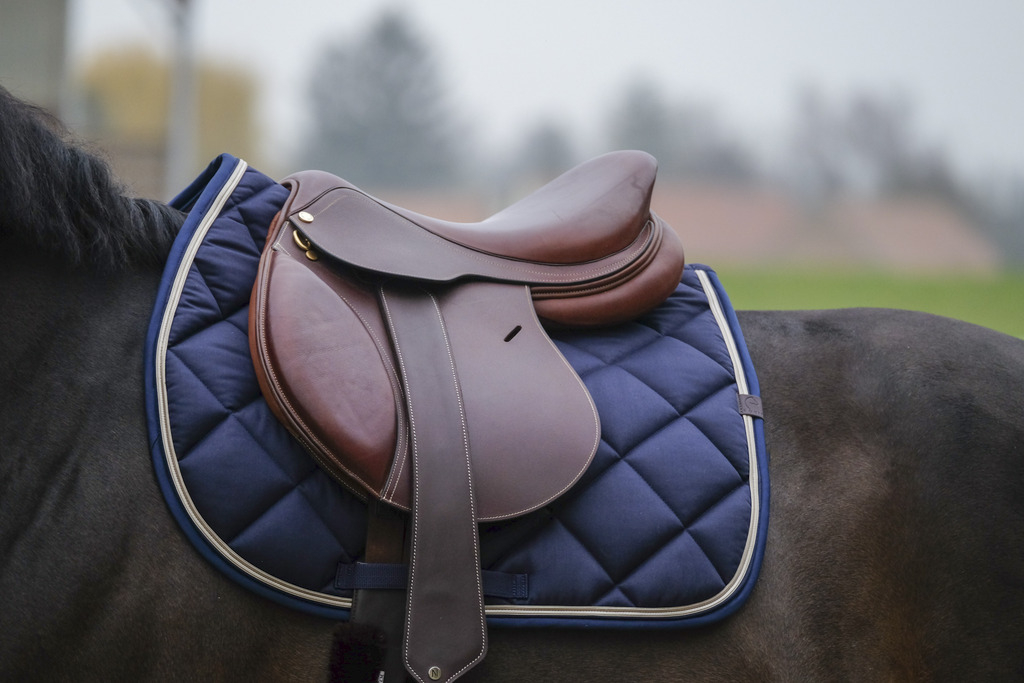 EQUITHEME Zadeldekje Classic gemengd marineblauw - Paardenmaat