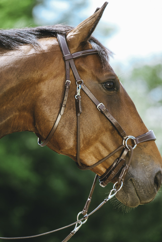 NORTON Bridón Bitless havane para Caballo - FS