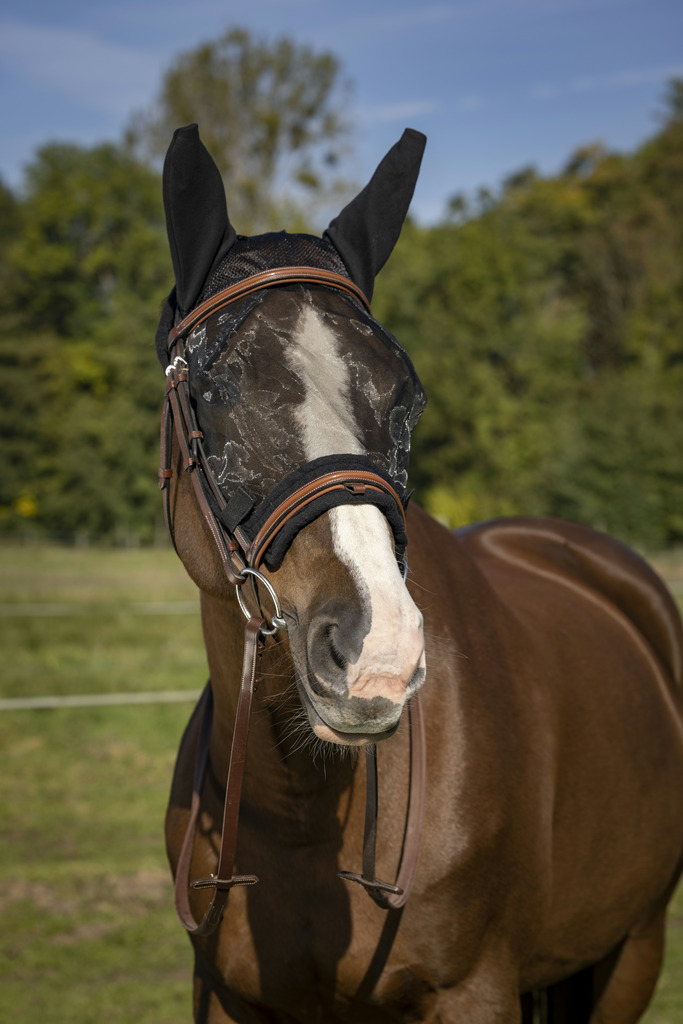 Equithème Training Maske Anti-Fliegen und UV-Schutz Schwarz