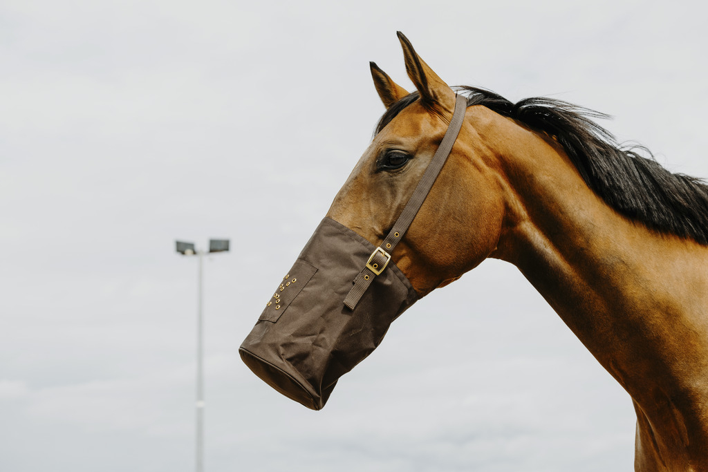 HIPPOTONIC Musette 600 Deniers - marron