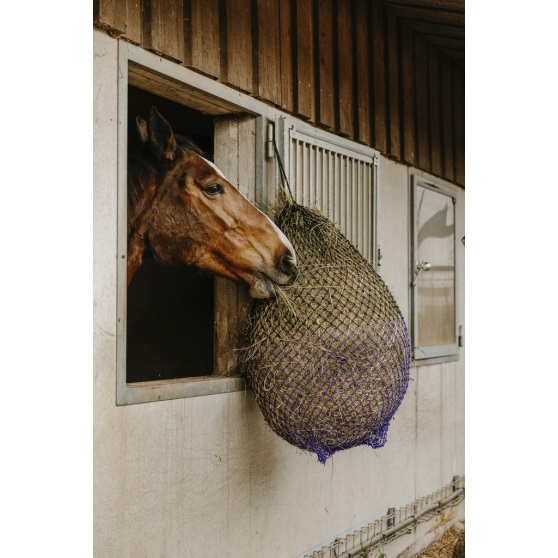 HIPPOTONIC Fijnmazig hooinet zwart & paars