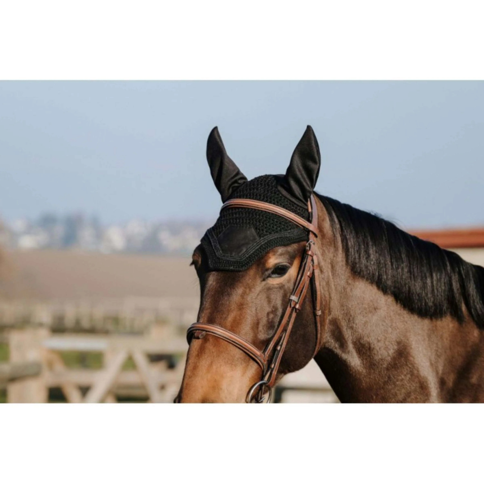 Gorro Equithème Badge negro para caballo