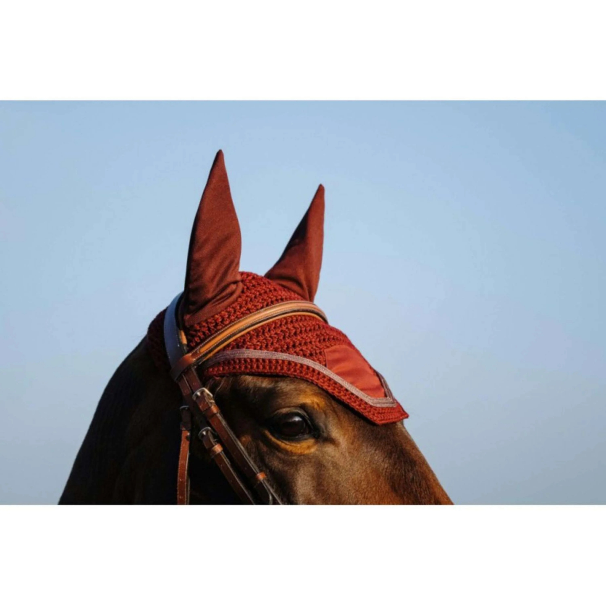 Equithème Badge bonnet bordeaux paard