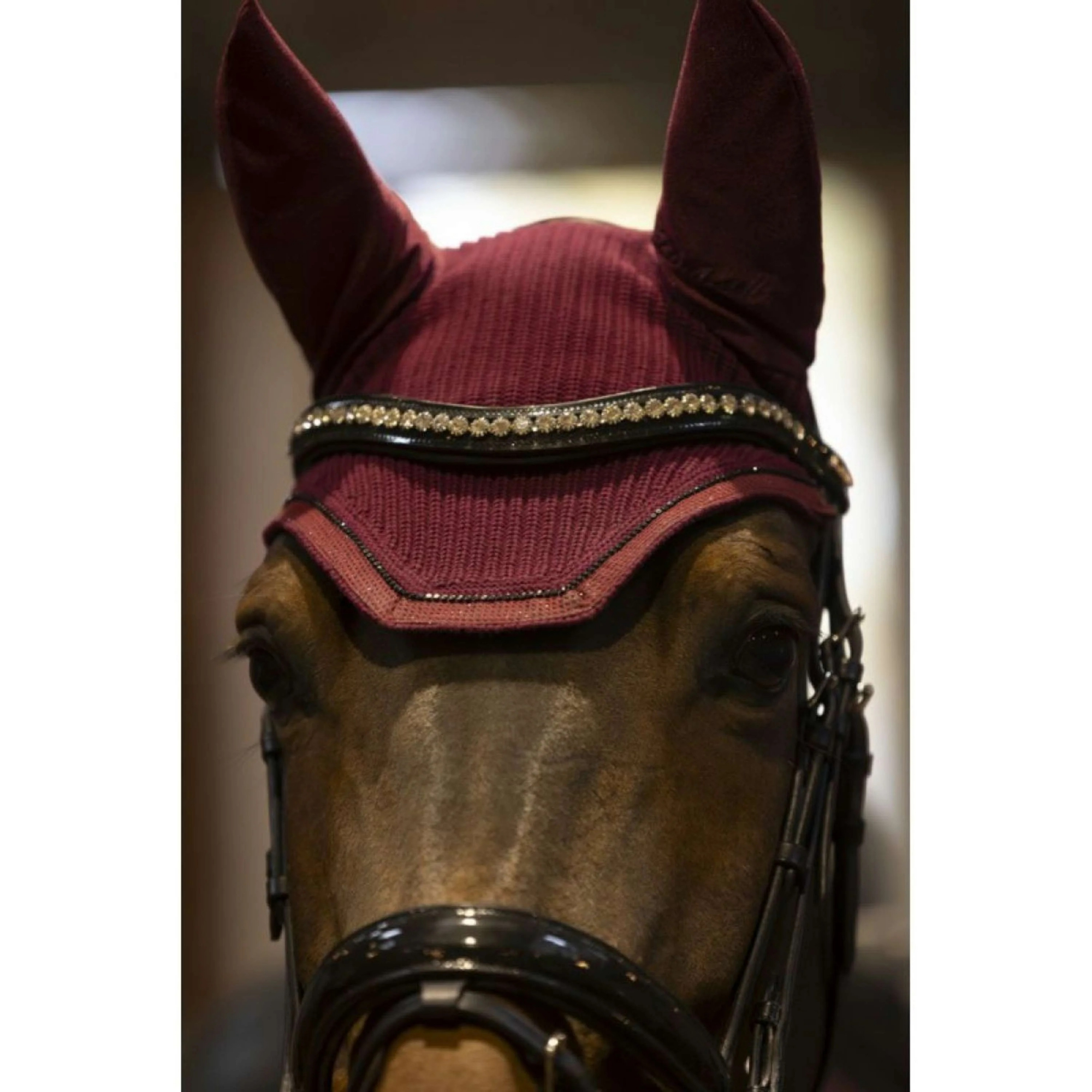 Lami-Cell Bonnet mouche Galaxy bordeaux pour cheval