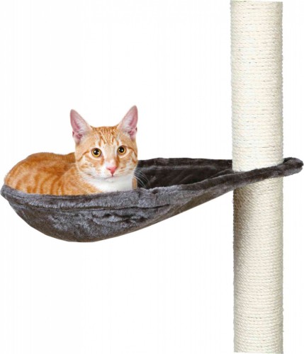 Poteau De Rechange Pour Arbre A Chat