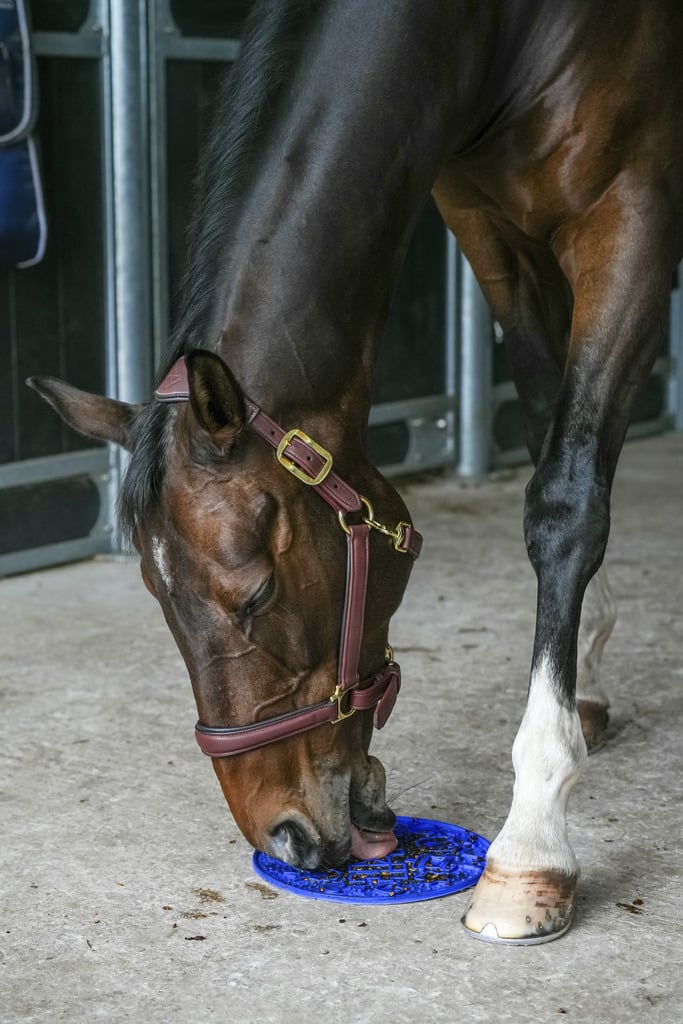 LIKIT Tapis à lécher bleu Graze Maze pour équidé