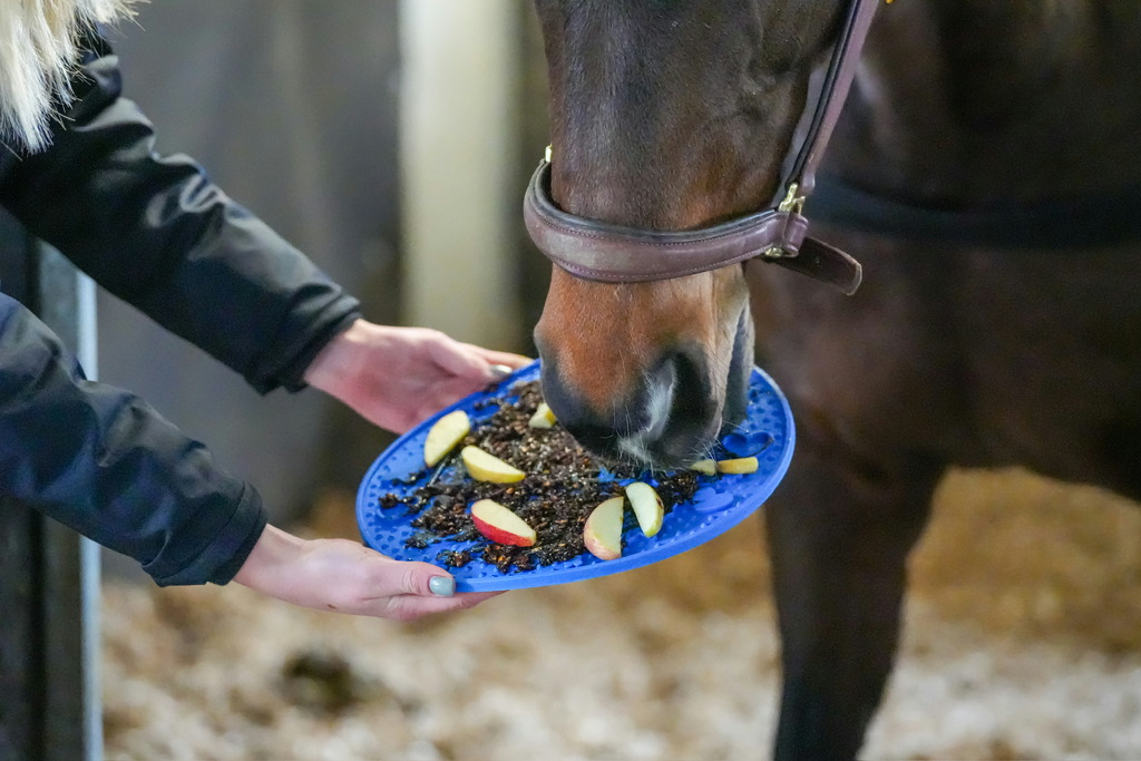 LIKIT Pâte pour tapis à lécher Graze Maze