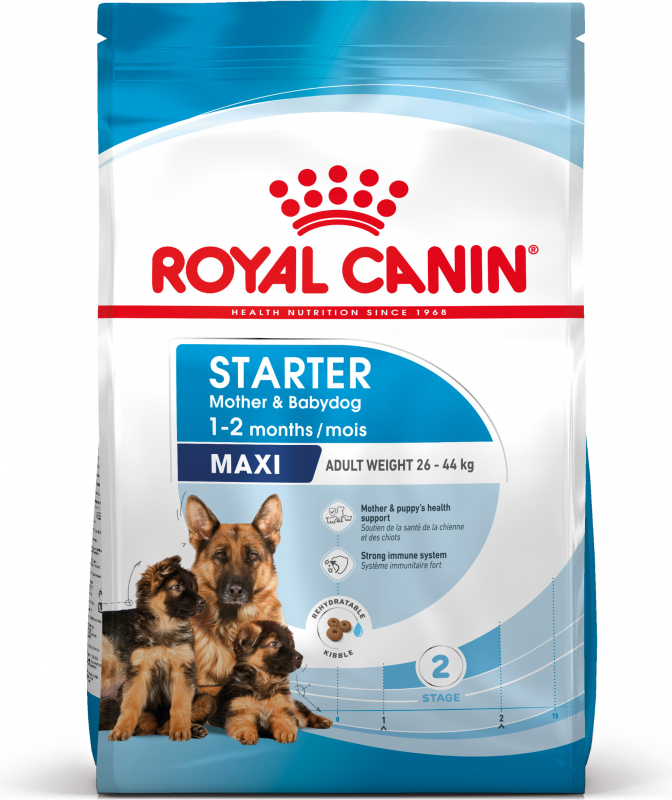 Royal Canin Maxi Starter Mother & Babydog - Cachorro y hembra en gestación/lactante (hasta 2 meses)