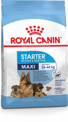 Verbanning Electrificeren Verbieden Royal Canin Maxi Starter Mother & Babydog