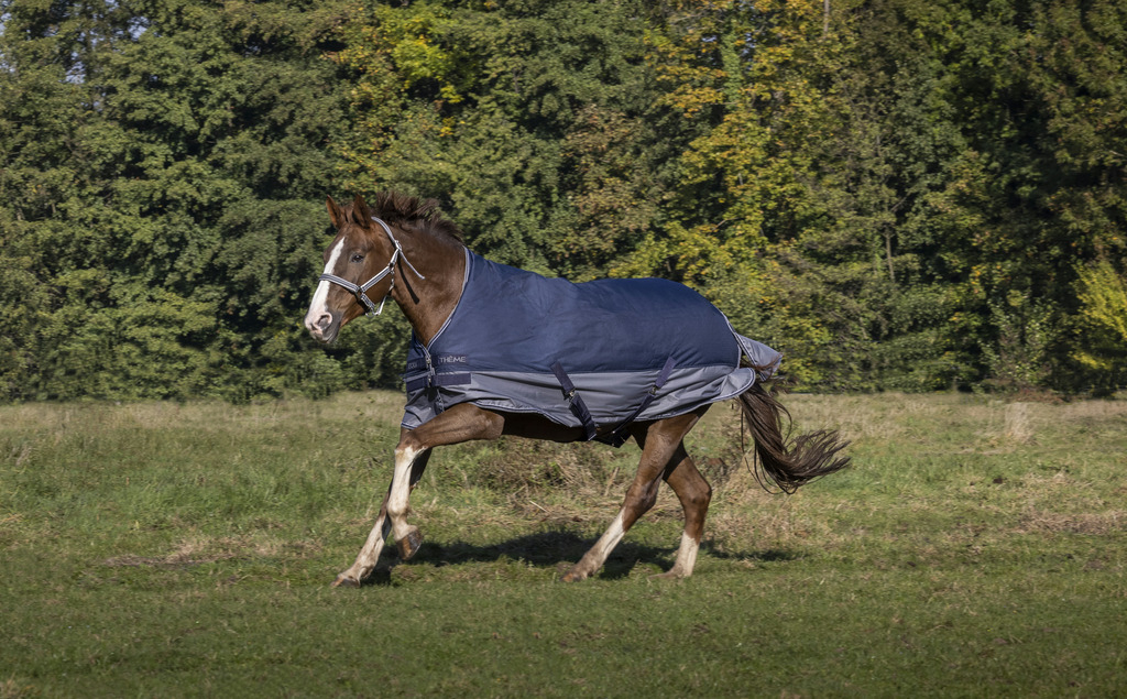 EQUITHEME Manta impermeable Tyrex 600D con forro polar azul / gris 