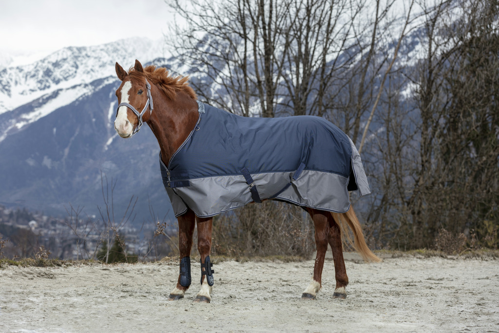 EQUITHEME Cobertura impermeável Tyrex 600D forrada a polar azul / cinzento 