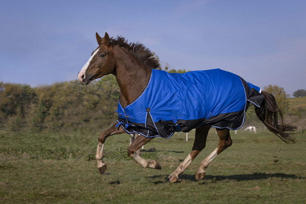 EQUITHEME Couverture imperméable 1200D Aisance 150g - bleu / noir