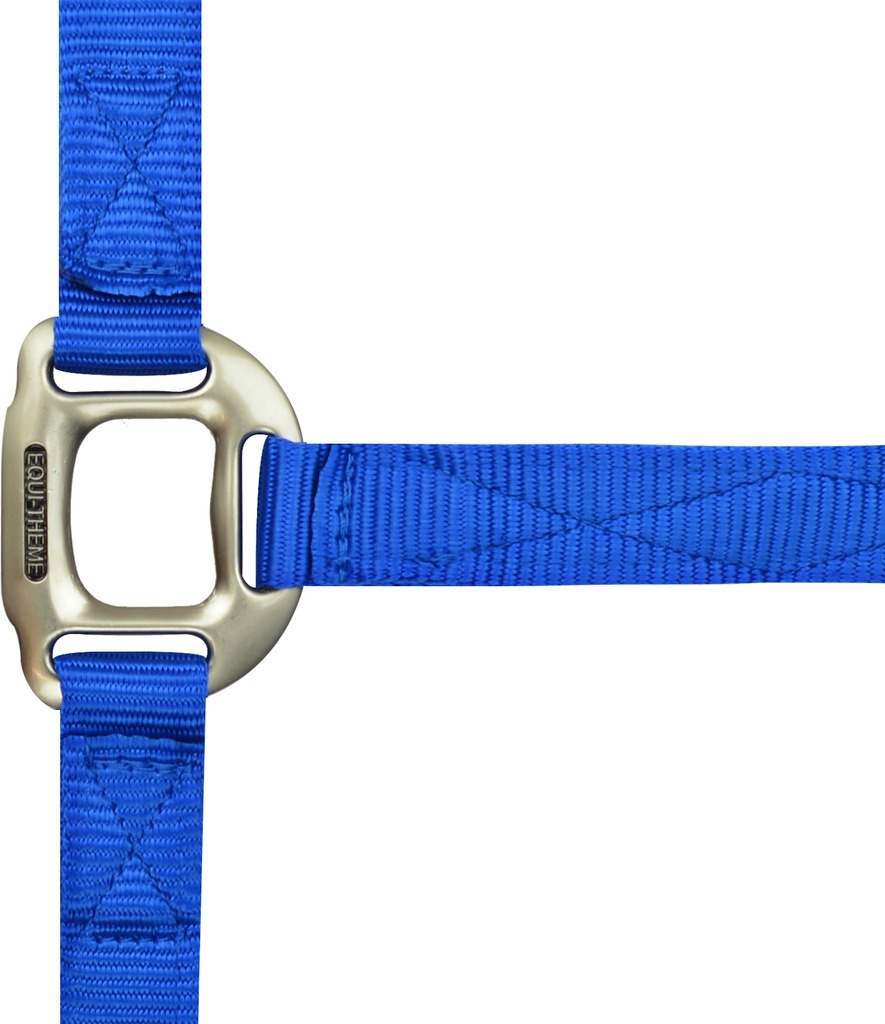 EQUITHEME Licol Nylon azul real - 2 tamanhos disponíveis