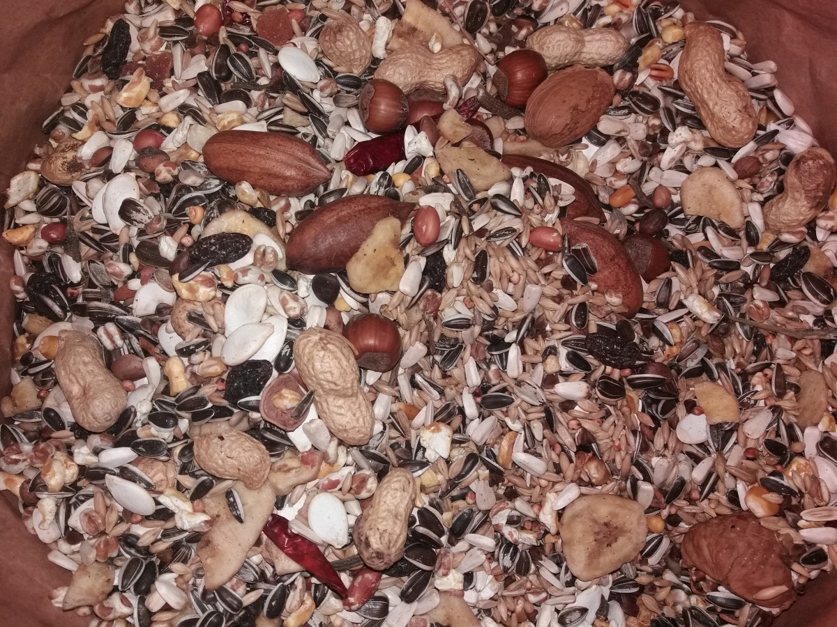 Avis sur Exotic Nuts pour perroquets Versele Laga