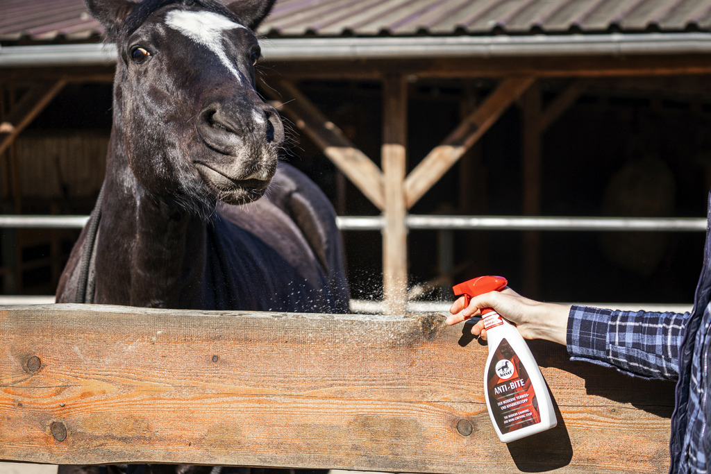 LEOVET Spray Anti-rongement