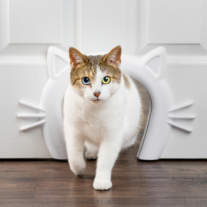 Passage de porte pour chat Cat Corridor