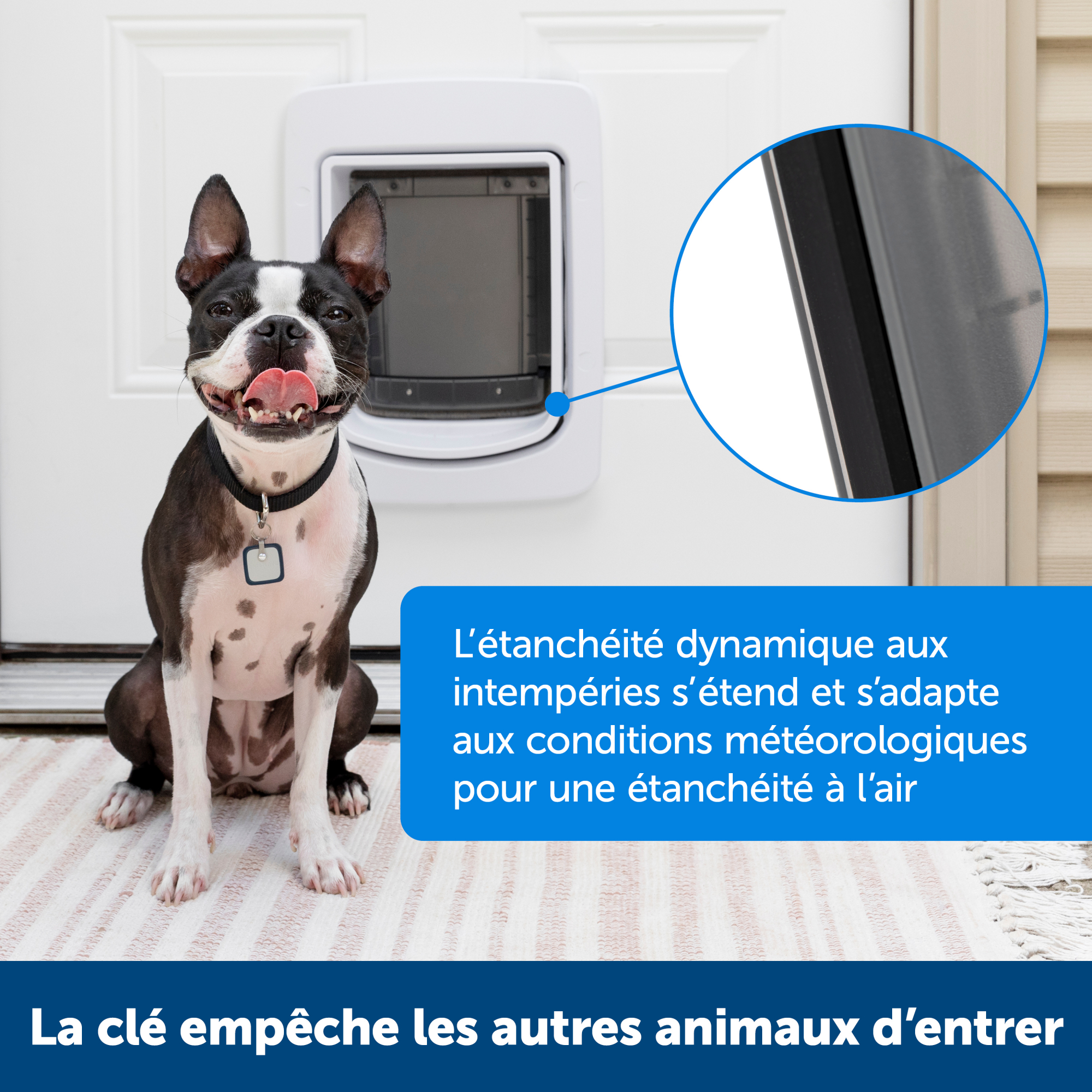 Porte connectée Petsafe SmartDoor pour animaux 