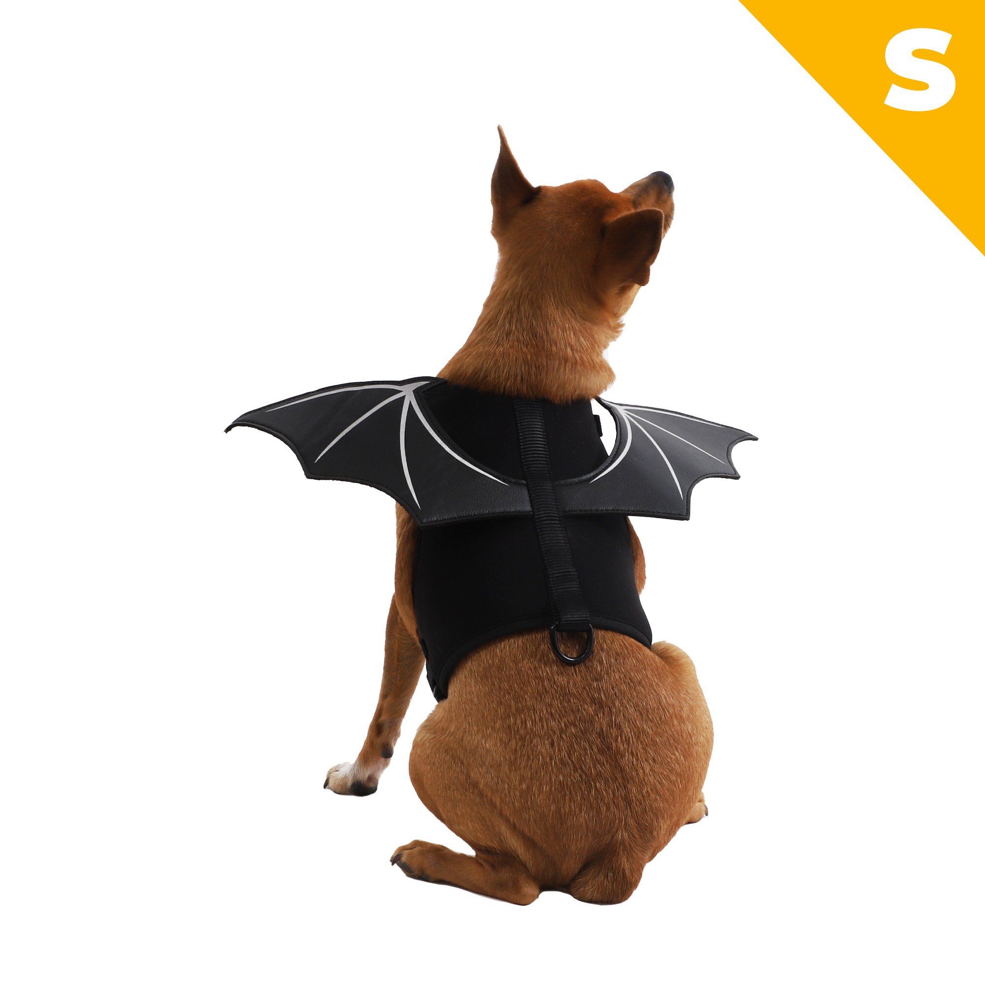 Hundegeschirr Fright Night Wings