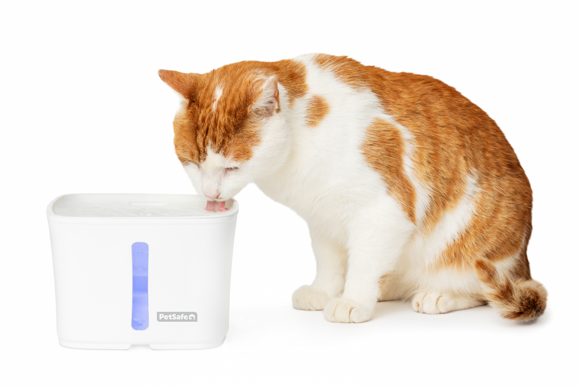 Trinkbrunnen VIVA Petsafe - 1.8 L - für Katzen und kleine Hunde