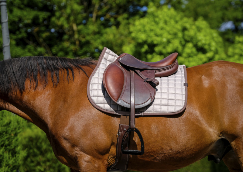 EQUITHEME Tapis de selle Chic marron - Taille Cheval