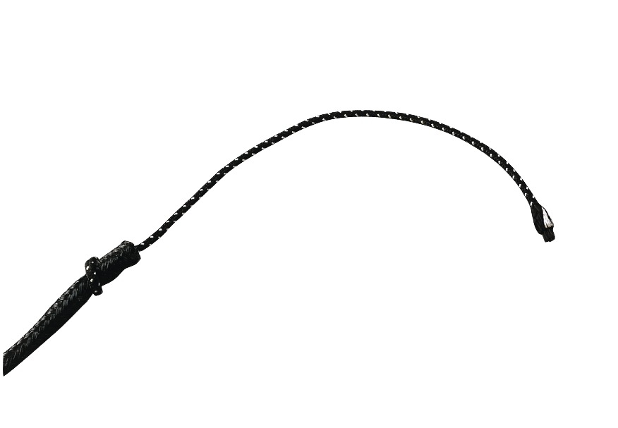 Cravache de dressage Whip & GO noir 100cm