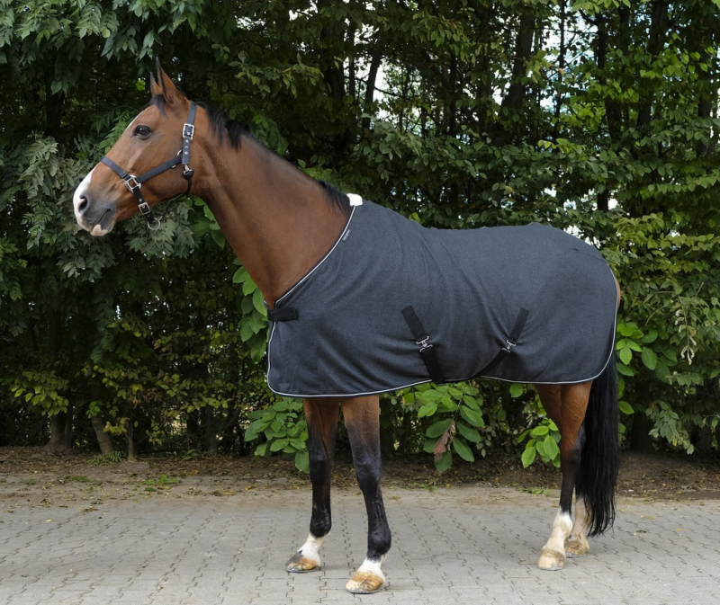 EQUITHEME Chemise polaire chiné