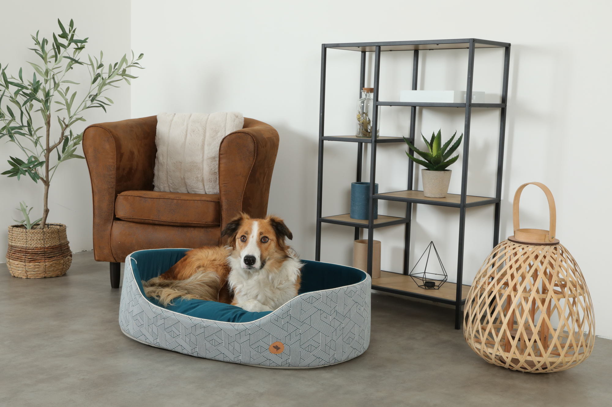 Couchage corbeille confort Zolux Kanga pour chien - 3 tailles disponibles