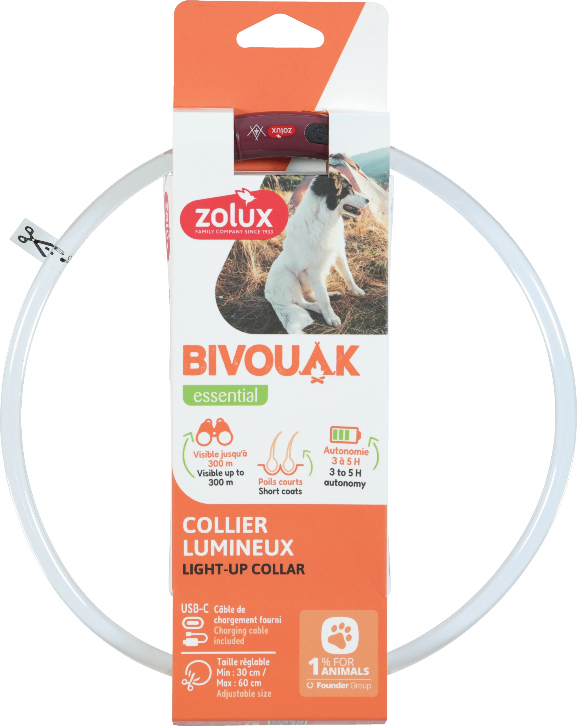 Collier lumineux USB pour chien à poils courts Zolux Bivouak - 2 coloris disponibles