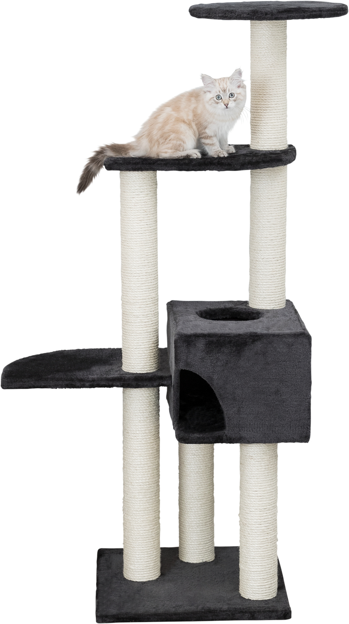 Arbre a chat - 142 cm - Trixie Alicante anthracite