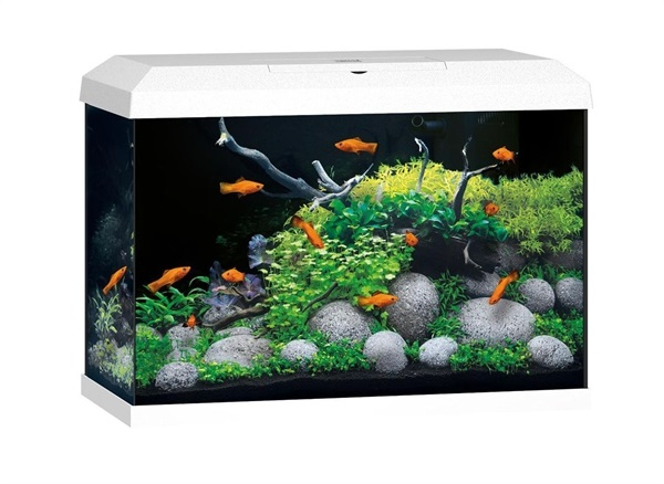 Aquarium Juwel Primo 70 L 2.0 LED blanc