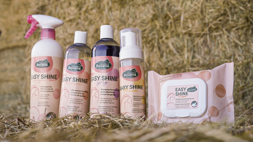 RAVENE Easy Shine shampoing