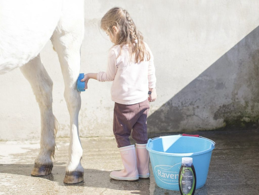 RAVENE Easy Shine shampoing pour chevaux gris