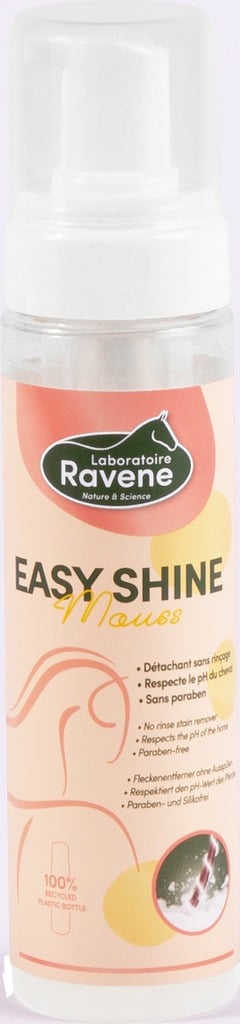 RAVENE Easy Shine mousse détachante