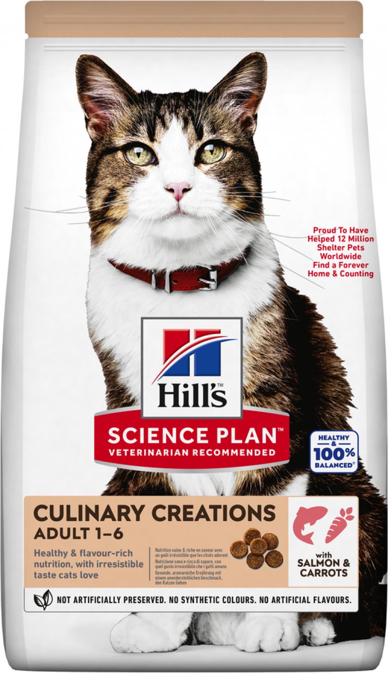 HILL'S Science Plan Adult Culinary Kreationen mit Lachs und Karotten für Katzen