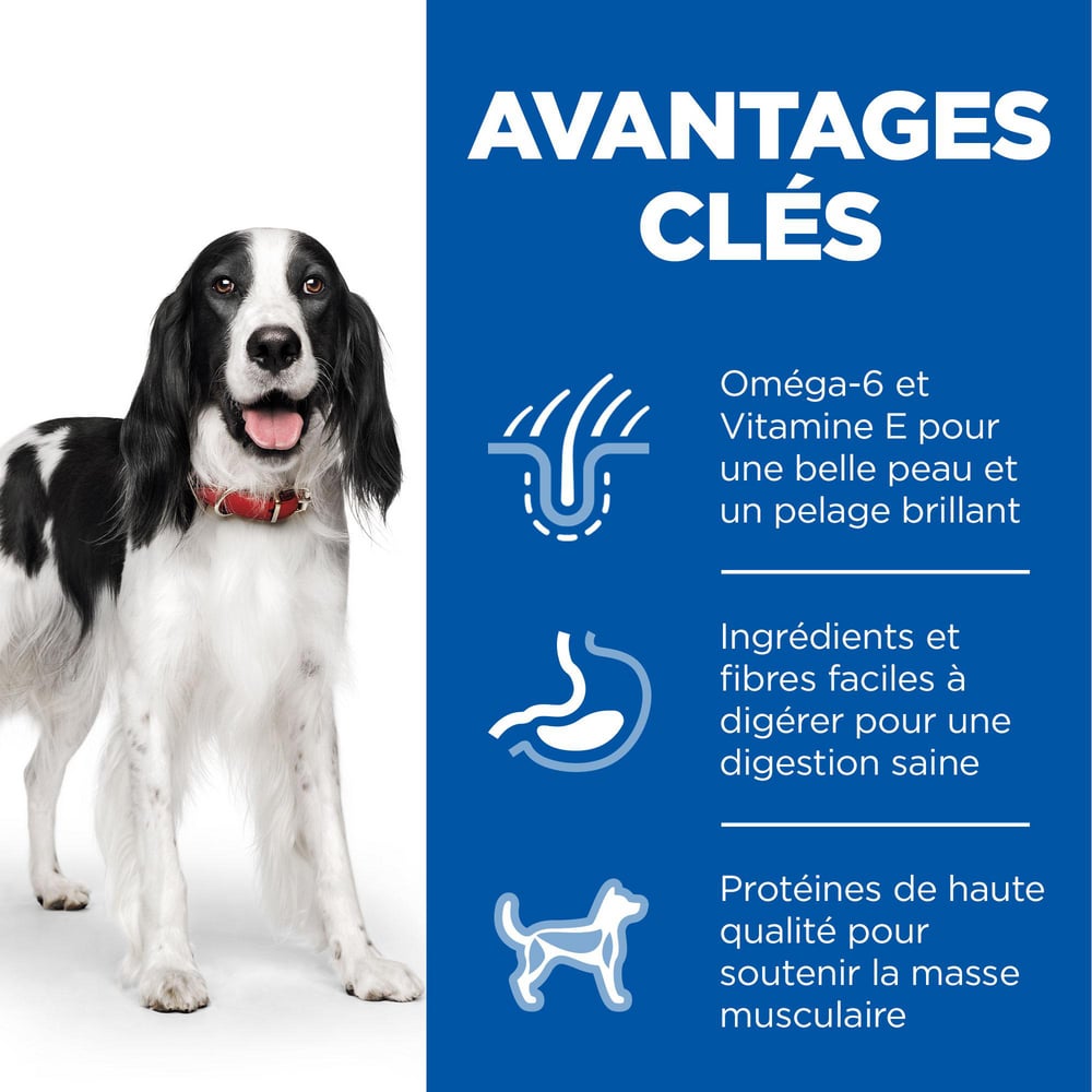 HILL'S Science Plan Adult boite à la dinde pour chien