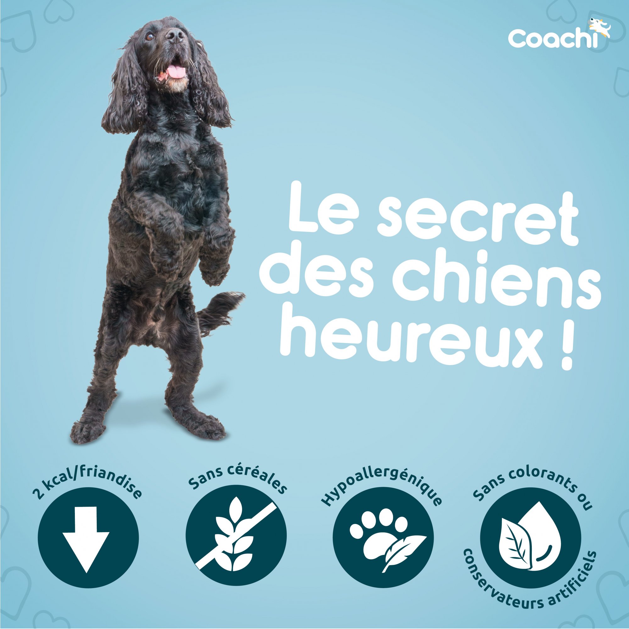 COACHI Friandises naturelles pour l'apprentissage au poisson