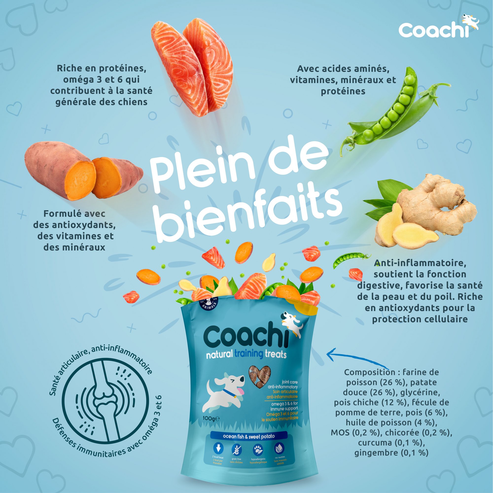 COACHI Friandises naturelles pour l'apprentissage au poisson