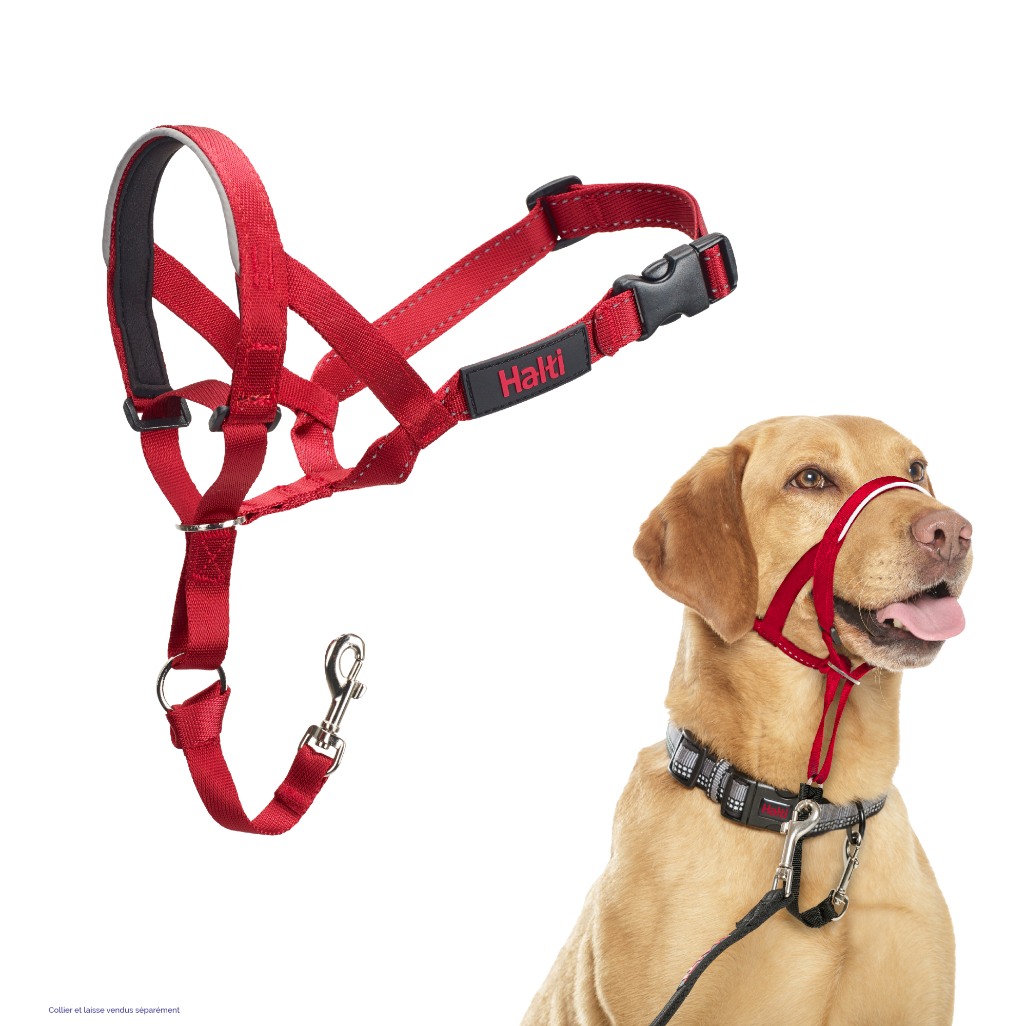 Licol Hati Headcollar - Rouge